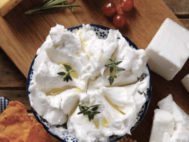 furora vegan krem peynirimsi